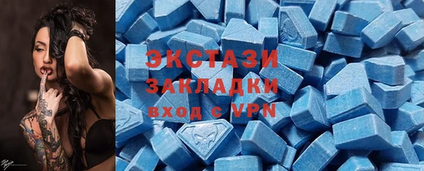 сатива Новодвинск