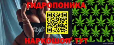 синтетический гашиш Новозыбков