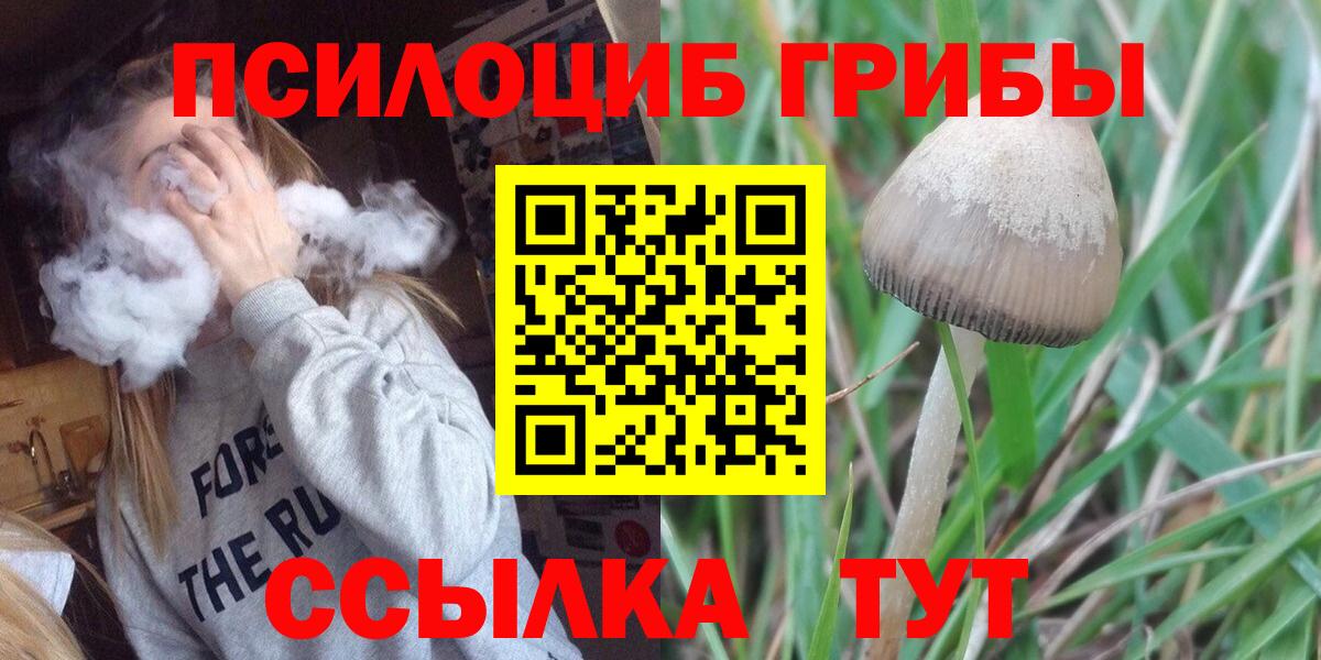 цена   Вход с VPN  Галлюциногенные грибы Magic Shrooms  Сертолово  Псилоцибиновые грибы мицелий 