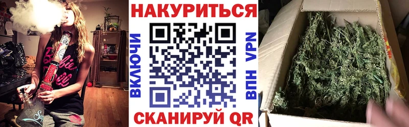купить   Сертолово  Каннабис конопля 