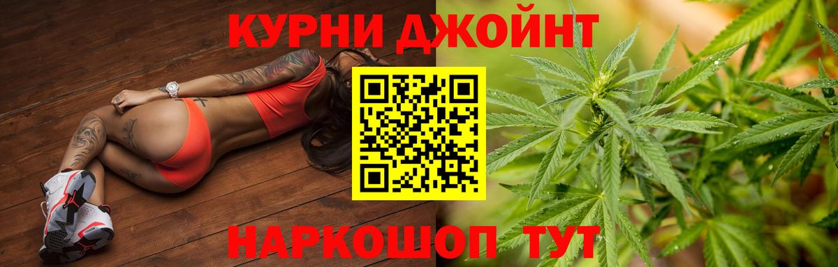 Шишки марихуана план Сертолово
